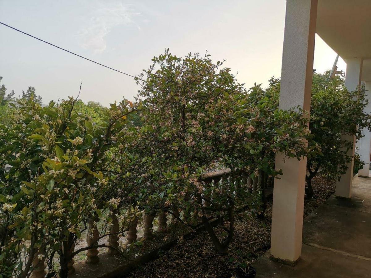 Apartmani Spomenka Seline Buitenkant foto