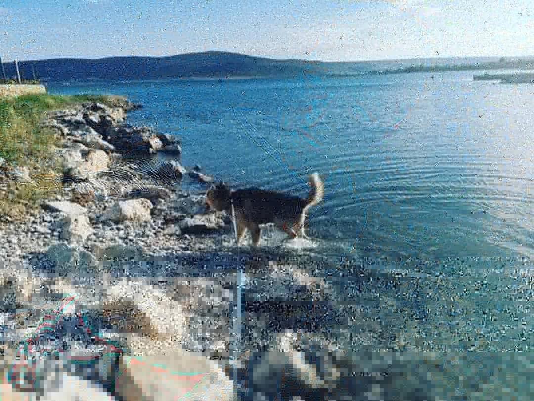 Apartmani Spomenka Seline Buitenkant foto