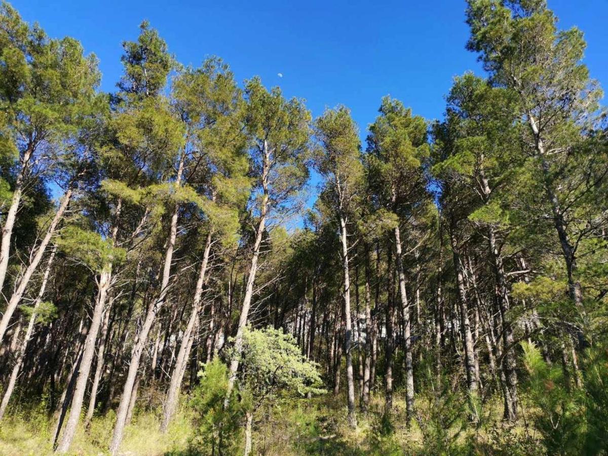 Apartmani Spomenka Seline Buitenkant foto