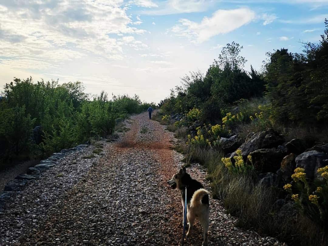 Apartmani Spomenka Seline Buitenkant foto